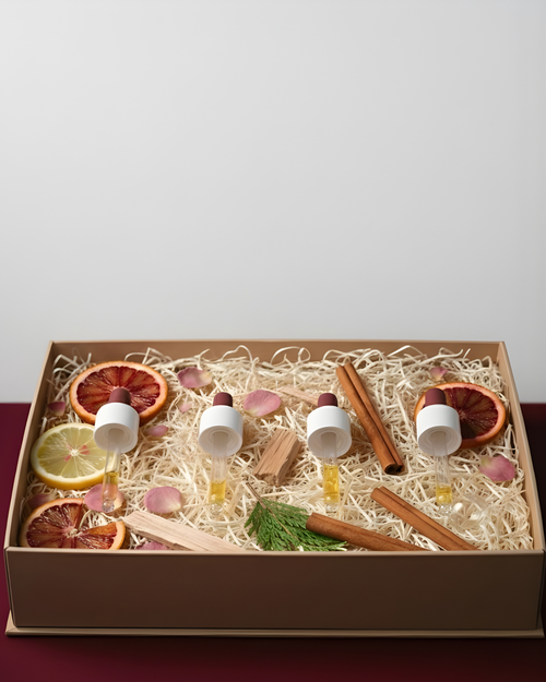 Discovery Kit Fragrans Göteborg