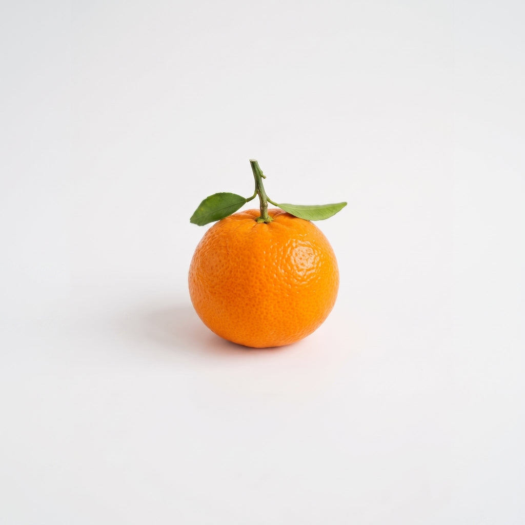 Citrus Doftpinnar - Källan 50ML Fragrans Göteborg