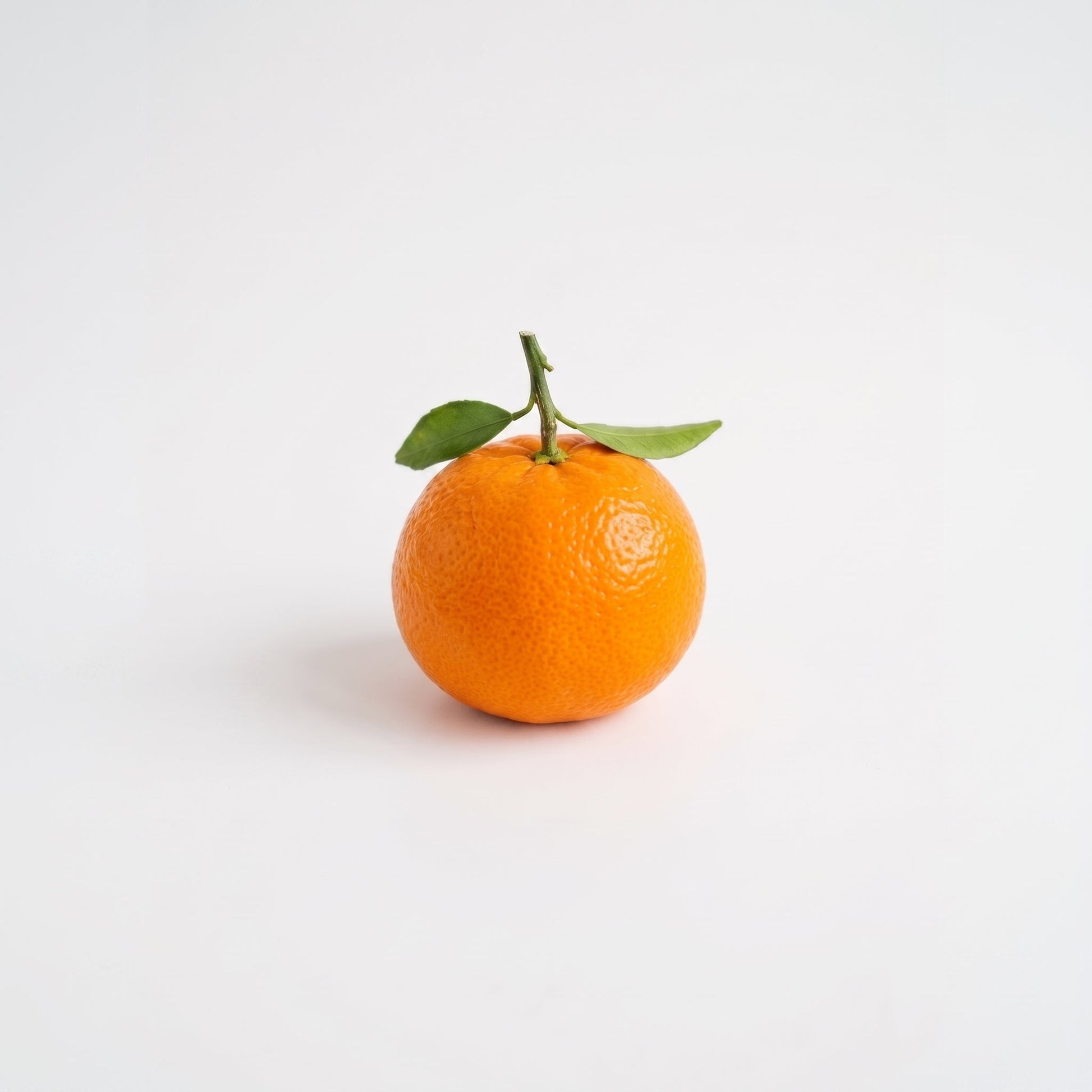 Citrus Doftpinnar - Källan 50ML Fragrans Göteborg