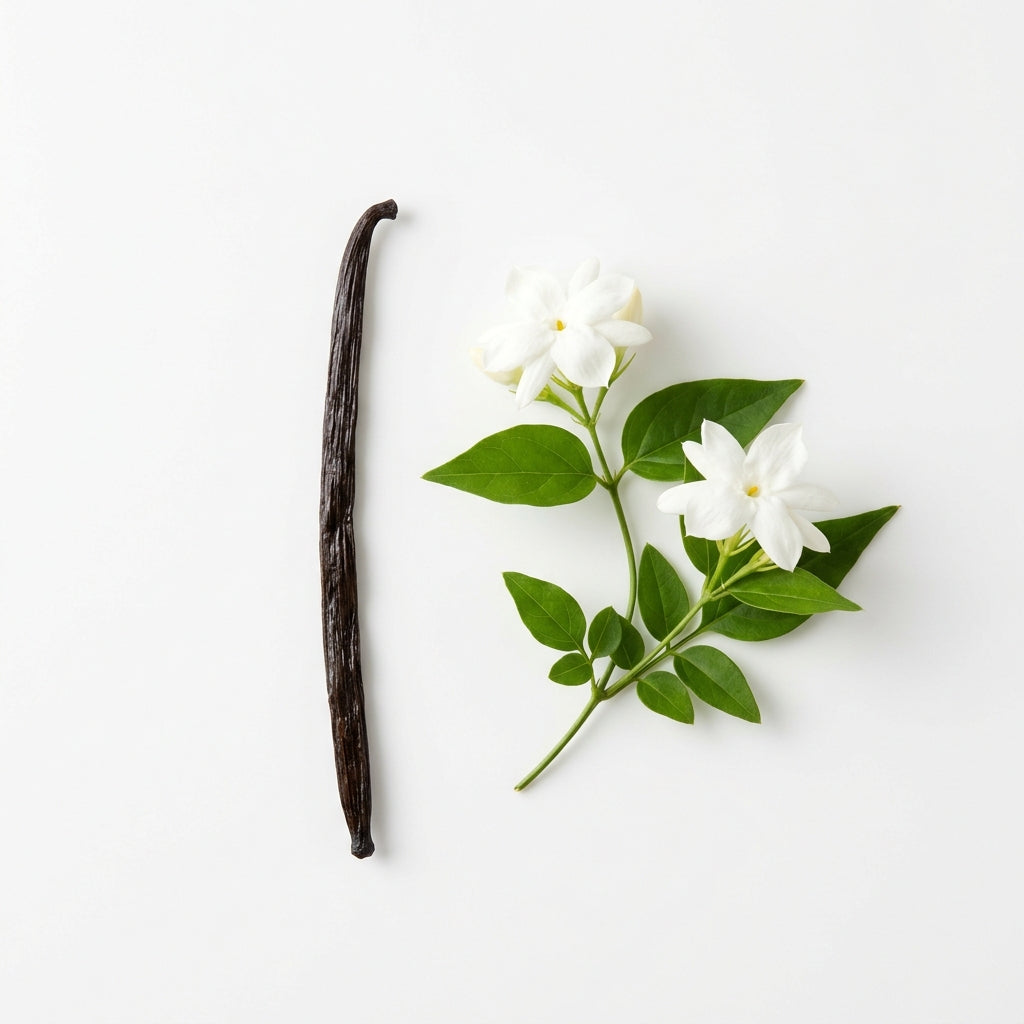 2x50ml Doftpinnar Källan Jasmin & Vanilj Fragrans Göteborg